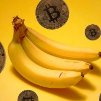 BANANA Token Launch: From Hype to Heartbreak - A Cautionary Tale